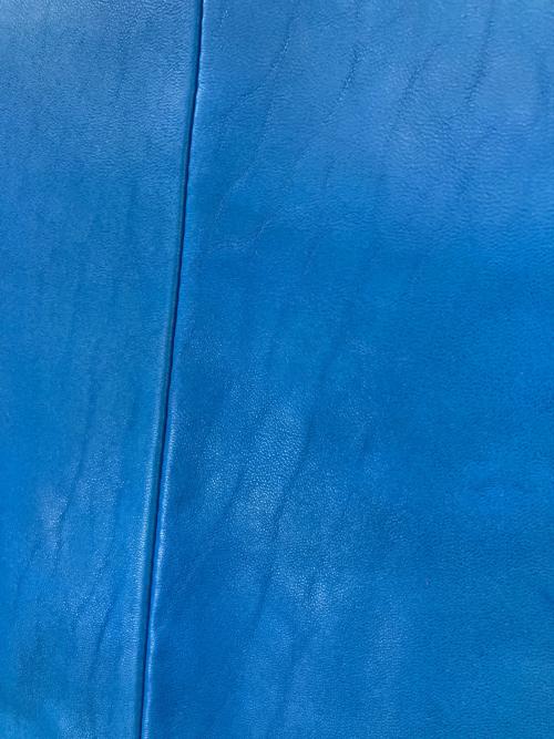 Schott（ショット）Schott (ショット) レザートラックジャケット ブルー サイズ:Mの古着・服飾アイテム