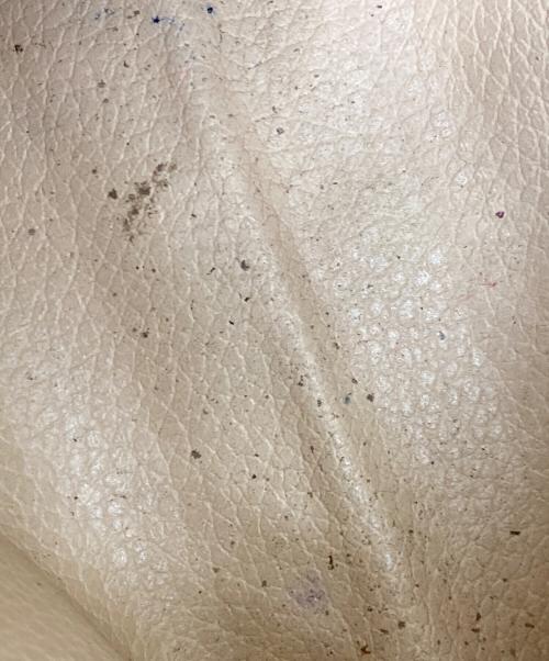 LOUIS VUITTON（ルイ ヴィトン）LOUIS VUITTON (ルイ ヴィトン) ポシェットトワレット15の古着・服飾アイテム