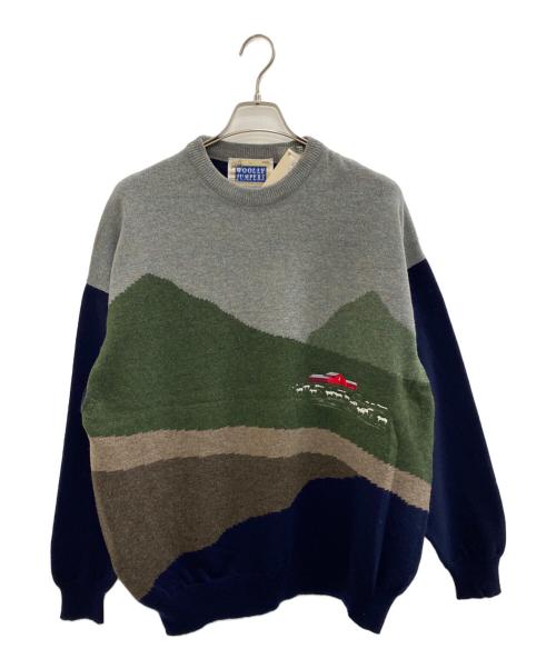 WOOLLY JUMPERS（ウーリージャンパーズ）WOOLLY JUMPERS (ウーリージャンパーズ) 厚手ニット グレー×ネイビー サイズ:XXL 未使用品の古着・服飾アイテム