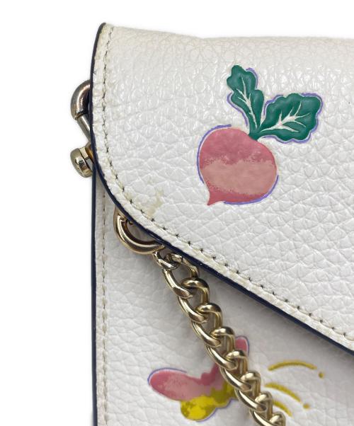COACH（コーチ）COACH (コーチ) タミー クラッチ クロスボディ ウィズ ドリーミー ベジー プリント　ショルダーウォレット アイボリーの古着・服飾アイテム