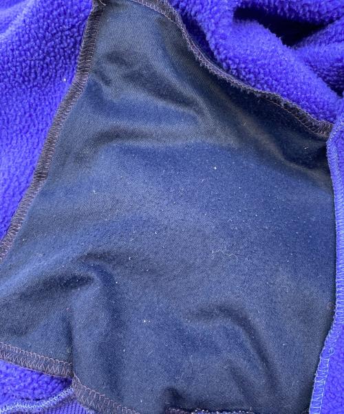 Patagonia（パタゴニア）Patagonia (パタゴニア) フリースジャケット ブルー サイズ:Lの古着・服飾アイテム