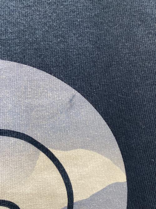 THE NORTH FACE（ザ ノース フェイス）THE NORTH FACE (ザ ノース フェイス) ショートスリーブデーフローティー半袖Tee ネイビー サイズ:Lの古着・服飾アイテム