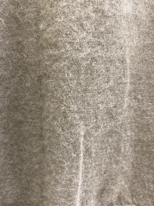 POLO RALPH LAUREN（ポロ・ラルフローレン）POLO RALPH LAUREN (ポロ・ラルフローレン) 薄手ニット グリーン サイズ:XLの古着・服飾アイテム