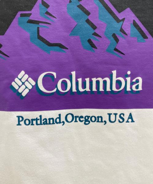 Columbia（コロンビア）Columbia (コロンビア) Imperial Park Graphic Short Sleeve Tee ホワイト サイズ:Lの古着・服飾アイテム