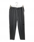 THE NORTH FACEザ ノース フェイス）の古着「フレキシブルアンクルパンツ」｜グレー