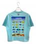 Columbia (コロンビア) BEAMS (ビームス) 別注PFG Tシャツ スカイブルー サイズ:XS：4000円