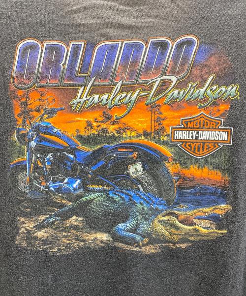 HARLEY-DAVIDSON（ハーレーダビッドソン）HARLEY-DAVIDSON (ハーレーダビッドソン) 半袖カットソー グレー サイズ:XLの古着・服飾アイテム
