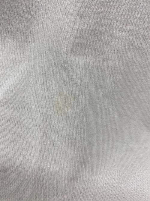 THE NORTH FACE（ザ ノース フェイス）THE NORTH FACE (ザ ノース フェイス) 半袖カットソー ホワイト サイズ:Lの古着・服飾アイテム