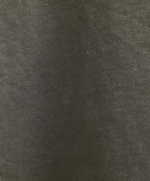 stussy（ステューシー）stussy (ステューシー) Ss Ringer Tee（リンガーTシャツ） ブラック×グレー サイズ:Mの古着・服飾アイテム
