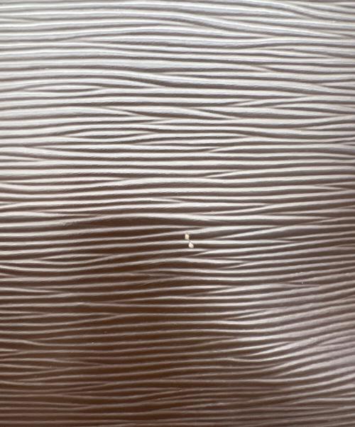 LOUIS VUITTON（ルイ ヴィトン）LOUIS VUITTON (ルイ ヴィトン) トートバッグ　サックプラ　エピ ブラウンの古着・服飾アイテム