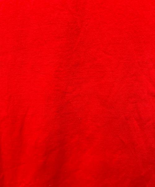 WIND AND SEA（ウィンダンシー）WIND AND SEA (ウィンダンシー) 半袖カットソー レッド サイズ:Lの古着・服飾アイテム