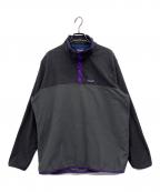 Patagoniaパタゴニア）の古着「マイクロDスナップT」｜グレー