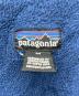 Patagoniaの古着・服飾アイテム：20000円