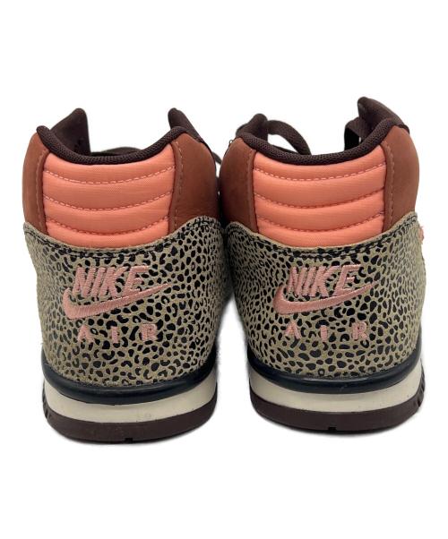 NIKE（ナイキ）NIKE (ナイキ) Arts Rec (アーツレック) SB Air Trainer ブラウン サイズ:26.5の古着・服飾アイテム