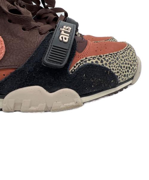 NIKE（ナイキ）NIKE (ナイキ) Arts Rec (アーツレック) SB Air Trainer ブラウン サイズ:26.5の古着・服飾アイテム
