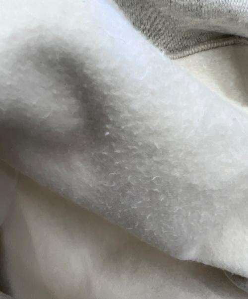 Champion REVERSE WEAVE（チャンピオン リバース ウィーブ）Champion REVERSE WEAVE (チャンピオン リバース ウィーブ) プルオーバーパーカー グレー サイズ:XLの古着・服飾アイテム