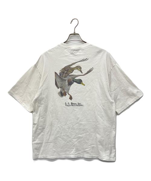 L.L.Bean（エルエルビーン）L.L.Bean (エルエルビーン) BEAMS (ビームス) 半袖Tシャツ ホワイト サイズ:XLの古着・服飾アイテム