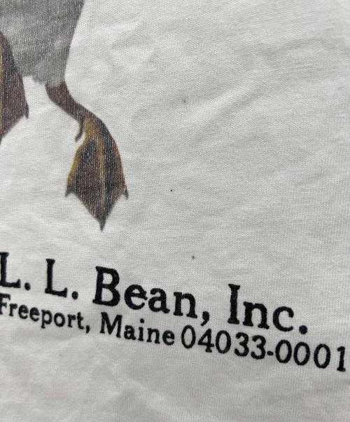 L.L.Bean（エルエルビーン）L.L.Bean (エルエルビーン) BEAMS (ビームス) 半袖Tシャツ ホワイト サイズ:XLの古着・服飾アイテム