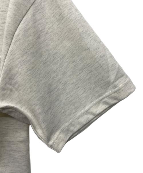 THE NORTH FACE（ザ ノース フェイス）THE NORTH FACE (ザ ノース フェイス) 半袖カットソー ライトグレー サイズ:XLの古着・服飾アイテム