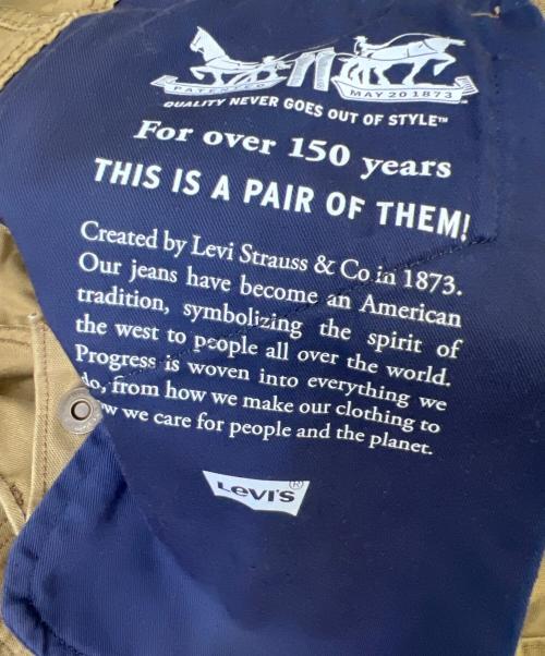 LEVI'S（リーバイス）LEVI'S (リーバイス) ダブルニーペインターパンツ ブラウン サイズ:W32×L30の古着・服飾アイテム