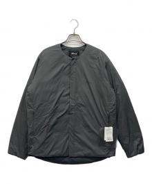 NANGA×URBAN RESEARCH DOORS（ナンガ×アーバンリサーチドアーズ）の古着「ダウンジャケット」｜グレー