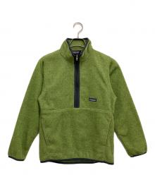 Patagonia SYNCHILLA（パタゴニア シンチラ）の古着「シンチラフリースプルオーバー」｜グリーン