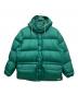 THE NORTH FACE（ザ ノース フェイス）の古着「Sierra Down Parka」｜グリーン