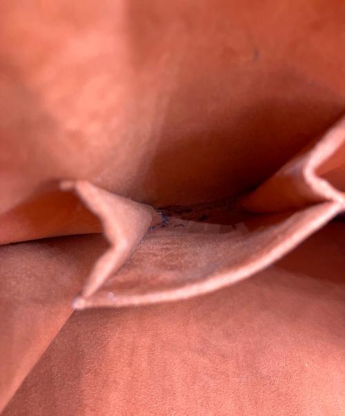 LOUIS VUITTON（ルイ ヴィトン）LOUIS VUITTON (ルイ ヴィトン) トートバッグ ダミエ サックプラ ブラウンの古着・服飾アイテム