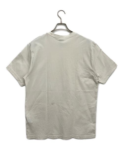 SUPREME（シュプリーム）SUPREME (シュプリーム) NIKE ACG (ナイキエーシージー) 半袖カットソー ホワイト×ブルー サイズ:Lの古着・服飾アイテム