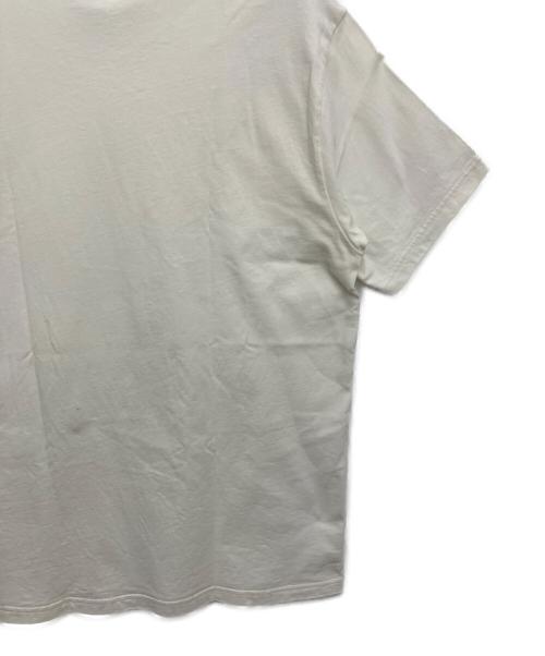 SUPREME（シュプリーム）SUPREME (シュプリーム) NIKE ACG (ナイキエーシージー) 半袖カットソー ホワイト×ブルー サイズ:Lの古着・服飾アイテム