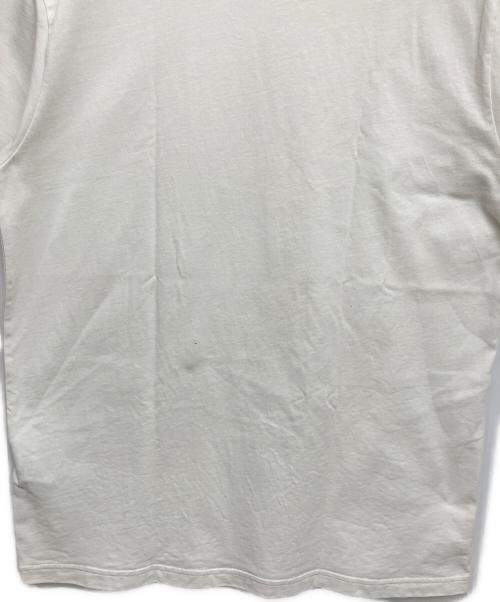 SUPREME（シュプリーム）SUPREME (シュプリーム) NIKE ACG (ナイキエーシージー) 半袖カットソー ホワイト×ブルー サイズ:Lの古着・服飾アイテム