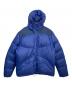 Patagonia（パタゴニア）の古着「ダウンジャケット」｜ネイビー×ブルー