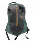 ARC'TERYX（アークテリクス）の古着「arro 16 Backpack」