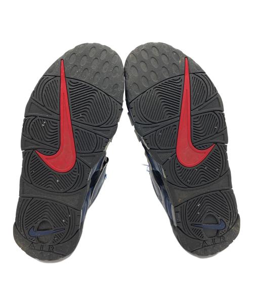 NIKE（ナイキ）NIKE (ナイキ) DJ4400-001 ブルー×レッド サイズ:28.5cmの古着・服飾アイテム