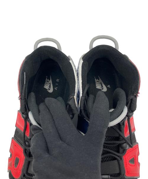 NIKE（ナイキ）NIKE (ナイキ) DJ4400-001 ブルー×レッド サイズ:28.5cmの古着・服飾アイテム