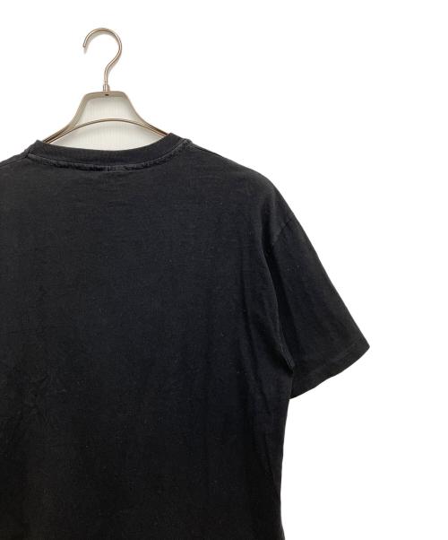 Hanes（ヘインズ）Hanes (ヘインズ) 	MICS OF FURY BEASTIE BOY・空手 ブラック サイズ:Lの古着・服飾アイテム