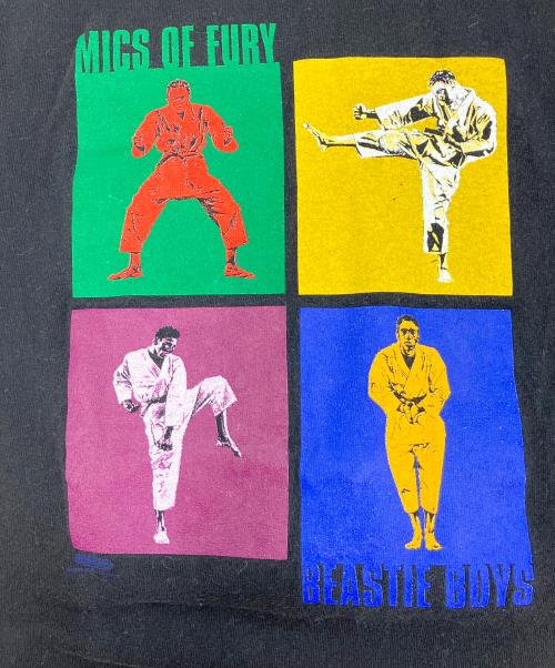 Hanes（ヘインズ）Hanes (ヘインズ) 	MICS OF FURY BEASTIE BOY・空手 ブラック サイズ:Lの古着・服飾アイテム