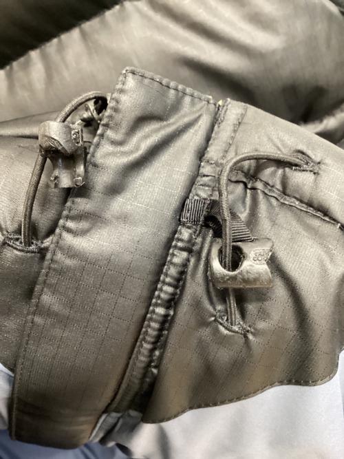 Patagonia（パタゴニア）Patagonia (パタゴニア) グースダウンベスト ブラック サイズ:Mの古着・服飾アイテム