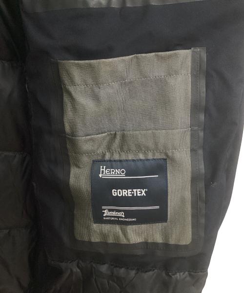 HERNO（ヘルノ）HERNO (ヘルノ) ゴアテックスダウンコート ネイビー サイズ:46の古着・服飾アイテム
