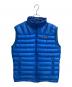 Patagonia（パタゴニア）の古着「グースダウンベスト」｜ブルー