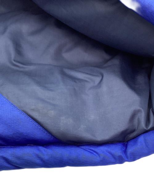Patagonia（パタゴニア）Patagonia (パタゴニア) ダウンベスト ブルー サイズ:Ｓの古着・服飾アイテム