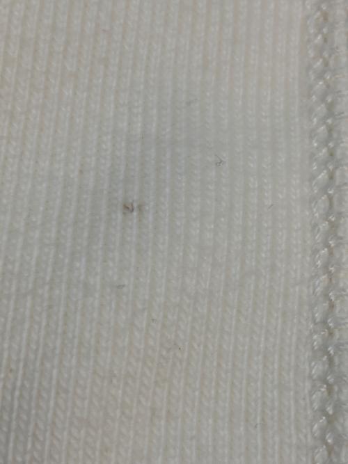 POLO RALPH LAUREN（ポロ・ラルフローレン）POLO RALPH LAUREN (ポロ・ラルフローレン) ジップパーカー ホワイト サイズ:SIZE Lの古着・服飾アイテム