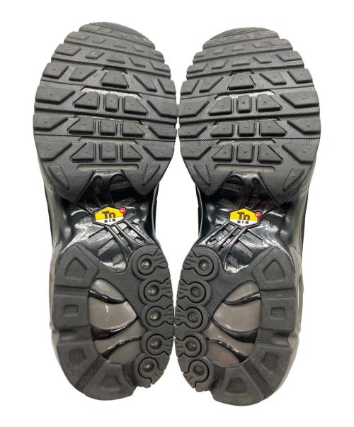 NIKE（ナイキ）NIKE (ナイキ) Nike Air Max Plus ブラック×ダークブラウン サイズ:28.5の古着・服飾アイテム