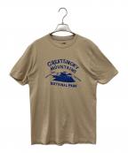 THE NORTH FACEザ ノース フェイス）の古着「半袖Tシャツ」｜ブラウン