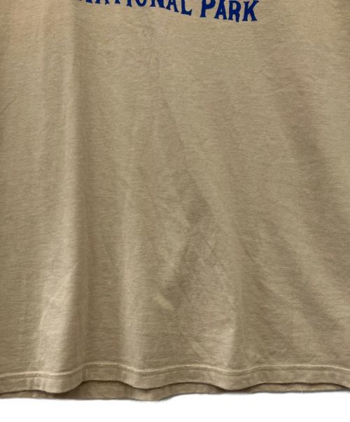 THE NORTH FACE（ザ ノース フェイス）THE NORTH FACE (ザ ノース フェイス) 半袖Tシャツ ブラウン サイズ:Sの古着・服飾アイテム