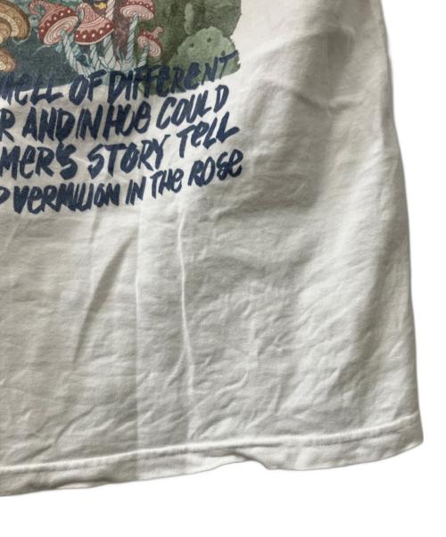 stussy（ステューシー）stussy (ステューシー) 半袖Tシャツ ブラック サイズ:Lの古着・服飾アイテム