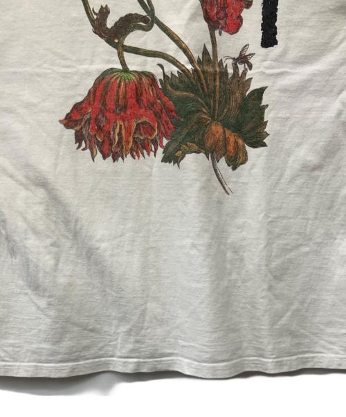 stussy（ステューシー）stussy (ステューシー) Tシャツ ホワイト サイズ:XLの古着・服飾アイテム
