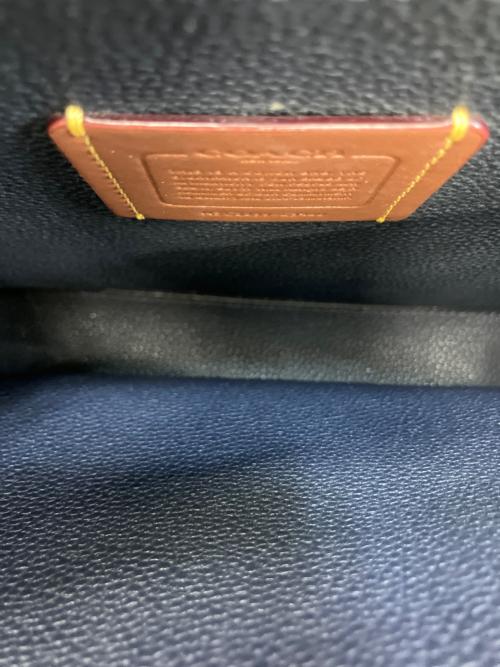 COACH（コーチ）COACH (コーチ) 2WAYショルダーバッグ スカイブルーの古着・服飾アイテム