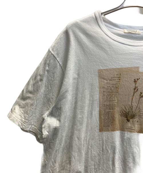 confect（コンフェクト）confect (コンフェクト) 天竺 ボタニカルプリント ビックTシャツ ホワイト サイズ:Ｆの古着・服飾アイテム