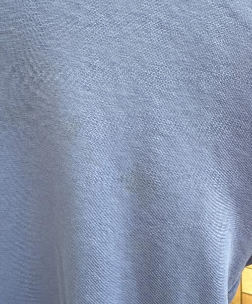 Patagonia（パタゴニア）Patagonia (パタゴニア) 半袖カットソー ブルー サイズ:Ｓの古着・服飾アイテム